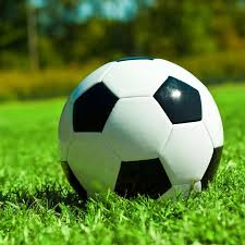 好体育官网